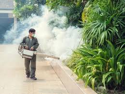 Find the list of top best pest control services in south africa on our business directory. Professional Pest Control Market Is Booming Worldwide With Godrej Bayer Basf Press Release Digital Journal