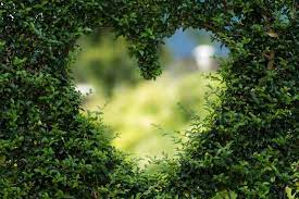 4k Hd Nature Images Beautiful Hd Wallpaper For Mobile Nature Photography Background Hd 1600x1066 Wallpaper Teahub Io