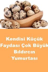 Kendisi Kucuk Faydasi Cok Buyuk Bildircin Yumurtasi Mutfakgram Bildircin Saglik Dogal Saglik