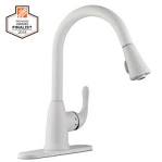 White kitchen faucet