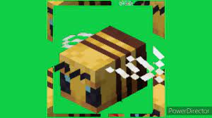 Bee green screen animated pack 3d🆓🆓🆓👍👍🐝🐝🤣🤣😎free green screen effects. Minecraft Bee Green Screen Chroma Key Youtube