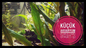 30 Litrelik Akvaryum Kuruyoruz Part 1 Youtube