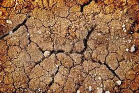 How to amend clay soil without tilling in 4 simple steps! Improving Clay Soils Methods How To Improve Clay Soils