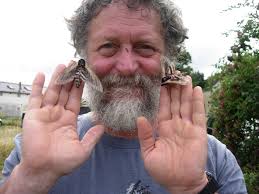 WILD ABOUT WHITSTABLE, MONDAY AUGUST 12TH TO SUNDAY AUGUST 18TH 2024