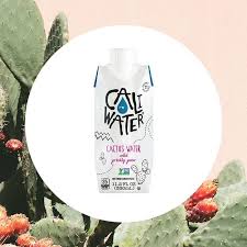 You can distill urine with a plastic cover and drink the condensation, it will contain no. Benefits Of Cactus Water
