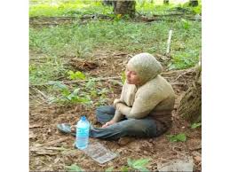 Inilah ruangan untuk pembaca yang gemar menerokai dunia pelik ! Pelik Tapi Benar Gadis Hilang Secara Misteri Selama Seminggu Akhirnya Dijumpai Bergayut Pada Akar Pokok Di Sungai Lobak Merah