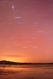 Bosque By Twilight Star Trails Photography Twilight Stars Star Trails Stars