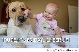 Friday Funny Animal Quotes 79 Quotes Thought of the day quotes about imagination/creativity. friday funny animal quotes 79 quotes