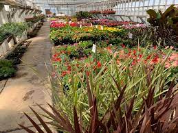 We did not find results for: Lindsley S Greenhouse Home Facebook
