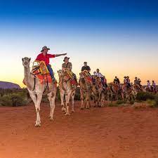 Entry into the camel farm is free. Uluru Camel Tours Hot Holiday Ayers Rock Nt
