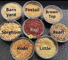 What Are Millets? Basic Info About Millets | Types | Benefits