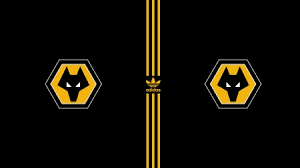 Been a lot going on. Wolves Fc Wallpaper