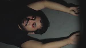 A festa de Molusco apenas começou – Monkeybuzz