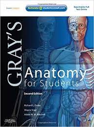 Grey's anatomy had a great cast to start with, then they took those characters and slowly made them unbearable to stand. Gray S Anatomy Pdf Free Download File Size 131 00 Mb File Type Chm Greys Anatomy Book Anatomy Medical Textbooks