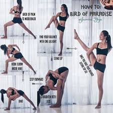 Yoga Pose Bird Of Paradise Advanced Yoga Yoga Tips Yoga Help