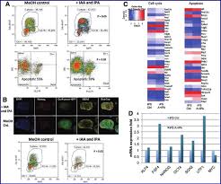 Whatever the case, the cell follows its own life cycle. A Flow Cytometry Graphs Of Cell Cycle Profile Of Early Reprogramming Download Scientific Diagram