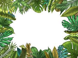 Use border utilities to add or remove an element's borders. Green Tropical Leaves Frame Nature Leaf Border Summer Vacation And J By Tartila Thehungryjpeg Com