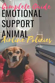 Complete Guide To Airline Policies For Emotional Support Animals Esa Emotional Support Dog Emotional Support Animal