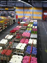 We are artificial wedding floral design specialists providing bridal elegance in silk flowers! Wedding Flowers Wedding Flowers Grocery