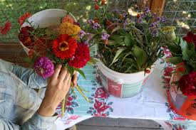 Shop a wholesale florist and save big on diy wedding our purple flowers. Bulk Buckets Of Blooms Renfrow Farms