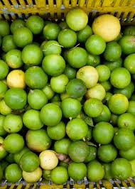 Image result for Citrus × aurantiifolia