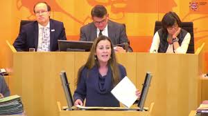 Parteivorsitzende, im interview mit moderator erhard scherfer am zweiten tag des parteitags die. Reden Janine Wissler Seite 5 Von 7 Die Linke Fraktion Im Hessischen Landtag
