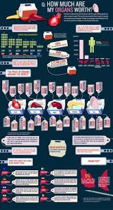 How Much Are My Organs Worth Visual Ly In 2020 Organ Donation Organ Transplant Organ Donation Awareness