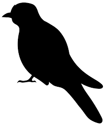 Hawk Clipart Perched Hawk Perched Transparent Free For Download On Webstockreview 2021 Pngkit selects 134 hd bird silhouette png images for free download. webstockreview