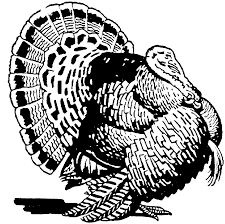 Red, white and blue tail: Turkey 5388 Animals Printable Coloring Pages