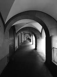 Gurushots The World S Greatest Photography Game Photography Games Photography Photo Challenge