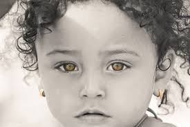 skyhigh photography llc