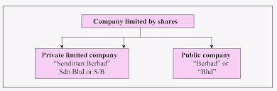 You are the owner of that lemonade stand). Companies Limited By Shares Bcs 202 05 Corporate Compliance Management