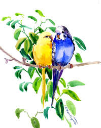 Pin On Watercolor Birds