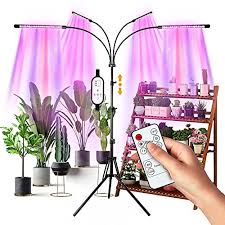 Maybe you would like to learn more about one of these? Top 10 Full Spectrum Grow Lights Of 2021 Best Reviews Guide