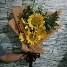 Beli aneka produk bibit bunga matahari online terlengkap dengan mudah, cepat & aman di tokopedia. Jual Bunga Wisuda Buket Bunga Bunga Matahari Jakarta Barat Freshcut Flower Tokopedia