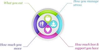 Lifestyle medicine is based on six pillars: Undo It With Ornish Ornish Lifestyle Medicine