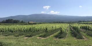 This climb belongs to the massif des cèdres. Important Tips For Cycling Mont Ventoux At Any Age Perfectly Provence