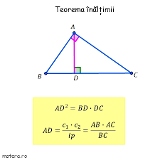 Teorema inaltimii, teorema catetei, teorema lui pitagora, dar si lectii despre funcții trigonometrice: Teoreme In Triunghiul Dreptunghic Rezolvarea Triunghiului Dreptunghic