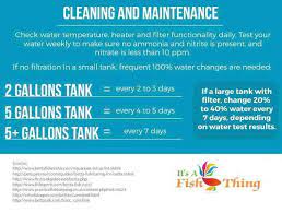 Self Cleaning Betta Tank 7 Better Safer Options For Your Betta Betta Fish Care Fish Care Betta Fish