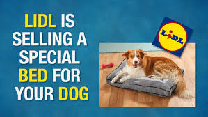 Click on the store locator to find your nearest. Lidl Is Selling A Heated Dog Bed This Winter Wales Online