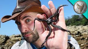Click the edit button at the top of any page to get started! Coyote Peterson Facts Kidspressmagazine Com
