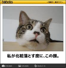 ボード ボケて のピン
