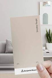 Benjamin Moore Taupe Paint Colors A