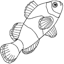 Un coloriage de poisson clown prêt à imprimer et à colorier. Coloriage Poisson Clown En Ligne Gratuit A Imprimer