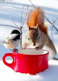 Highly cherished by ones who love boho style, this wall hanging is knotted on a pinewood dowel. The Adventures Of Weed Squirrel Home Facebook