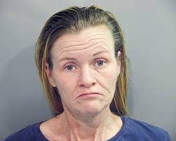 Woman faces animal-cruelty counts