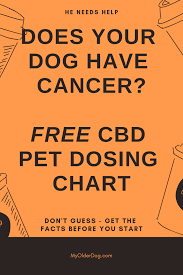 Cbd Oil Dosage For Dogs Cats Vet Cbd Dosing Chart