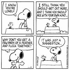 Animated Birds Of The Same Feather Flock Together First Appearance January 9th 1979 Peanutsspecials Ps Pnts Schulz Snoopy Woodstock Lonely Mix Own Birds Fe Snoopy Love Snoopy Funny Snoopy Pictures
