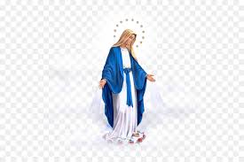 Ver más ideas sobre virgen, la virgen de fatima, imágenes de la virgen. Chapel Of Our Lady Of The Miraculous Medal Costume