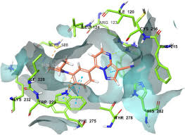 Image result for Zaleplon